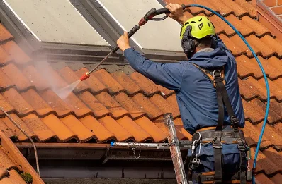Démoussage et hydrofuge de toiture à Rehainviller